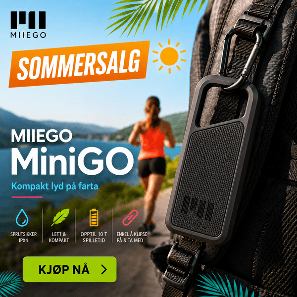 Miiego MiniGO